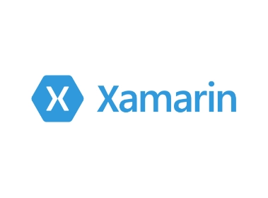 A Group of people working on Xamarin forms
